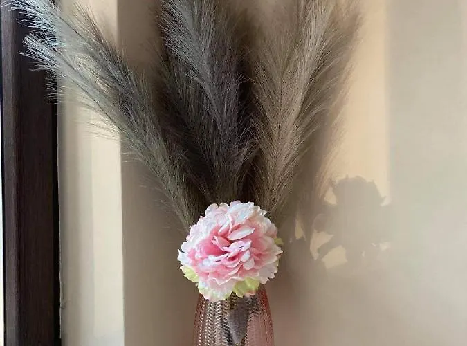 Boho Chic Nearby The